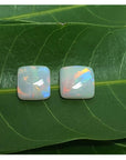 A display of colors of this matching pair of australian opals for earrings over a green leaf for contrast compare.