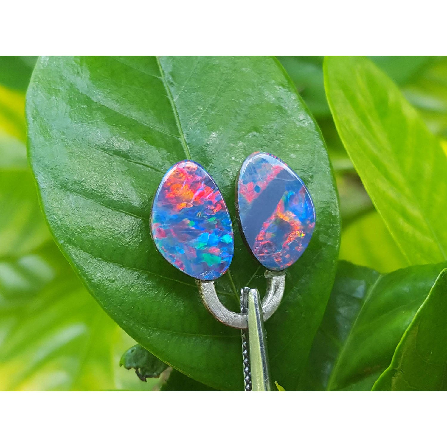 Opal earrings on a green leaf with a blurred green leaf background.