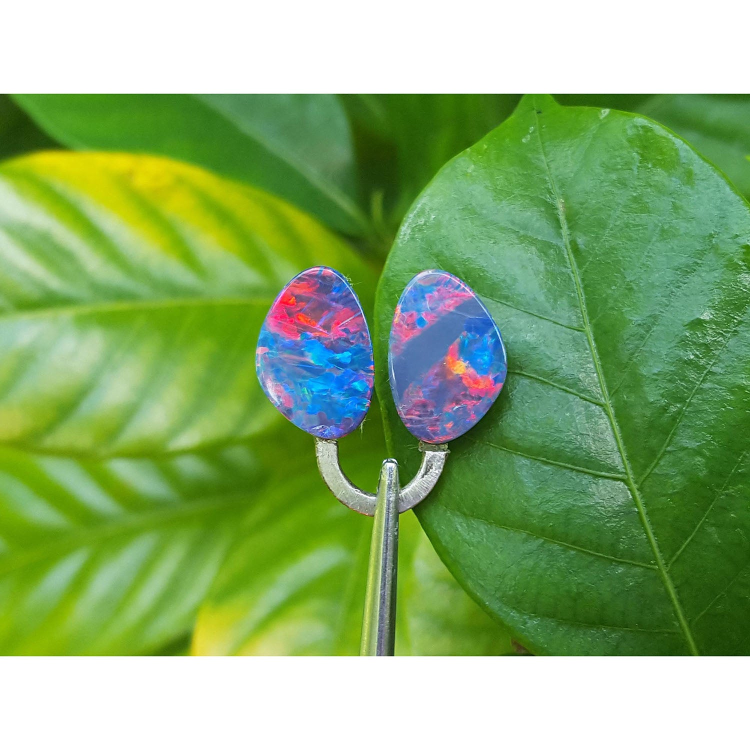 Opal earrings on a green leaf with a blurred plant background.