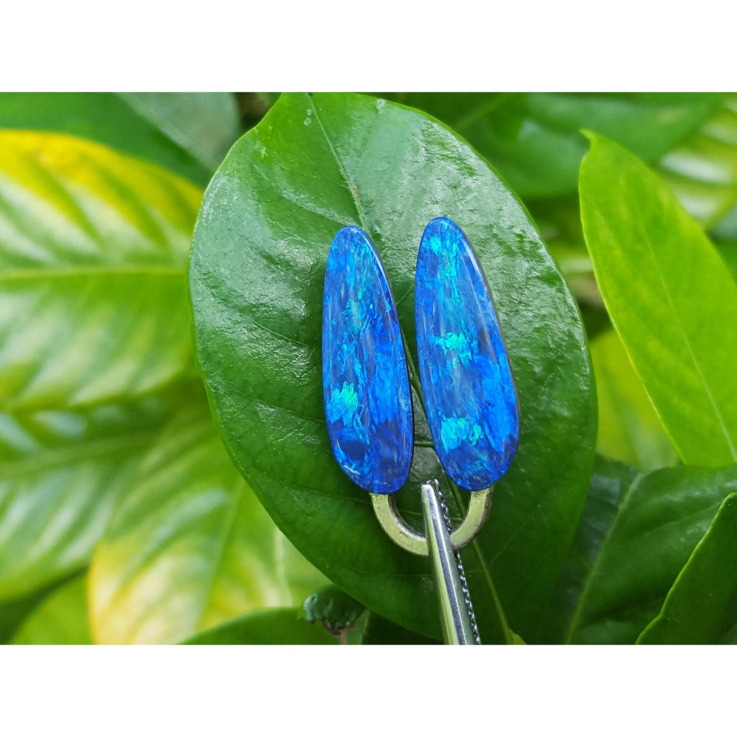 Blue opal earrings on a green leaf with a blurred green background.