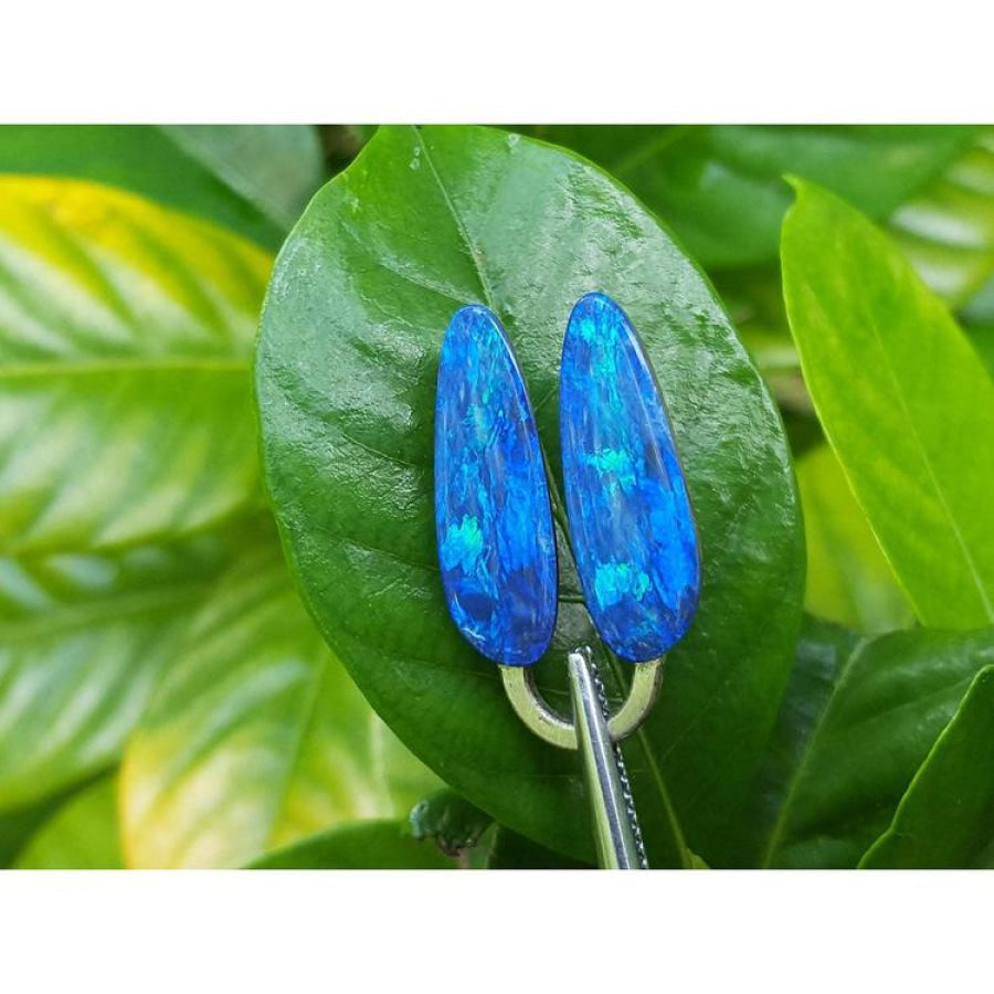 Matching pair of deep blue Australian doublet opals with green flashes, ideal for earrings, displayed on a green leaf.