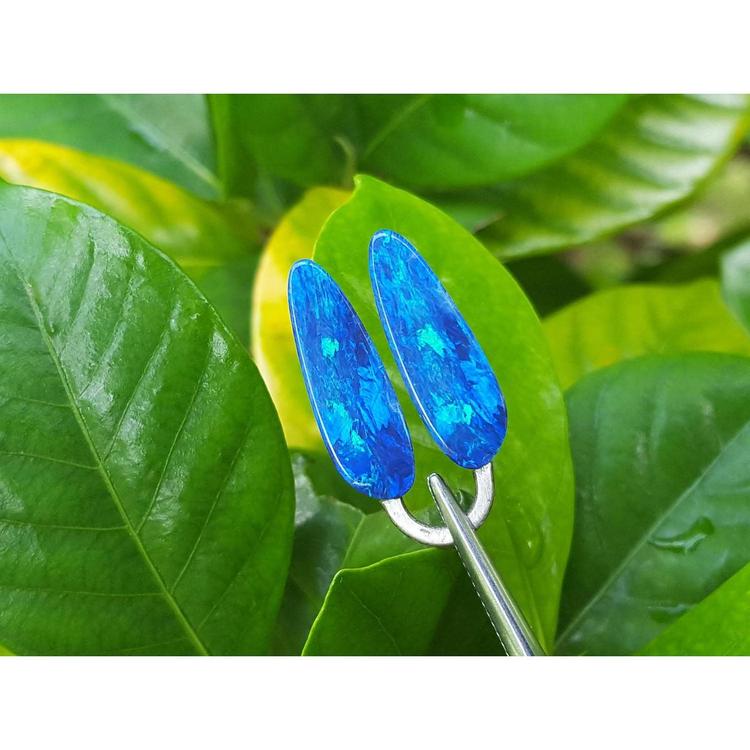 Blue opal earrings on a green leaf background.