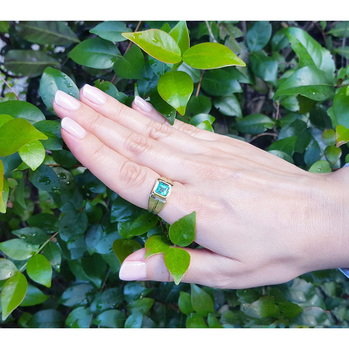 Hand wearing a gold pinky ring for men with a natural colombian emerald against a green leafy background.