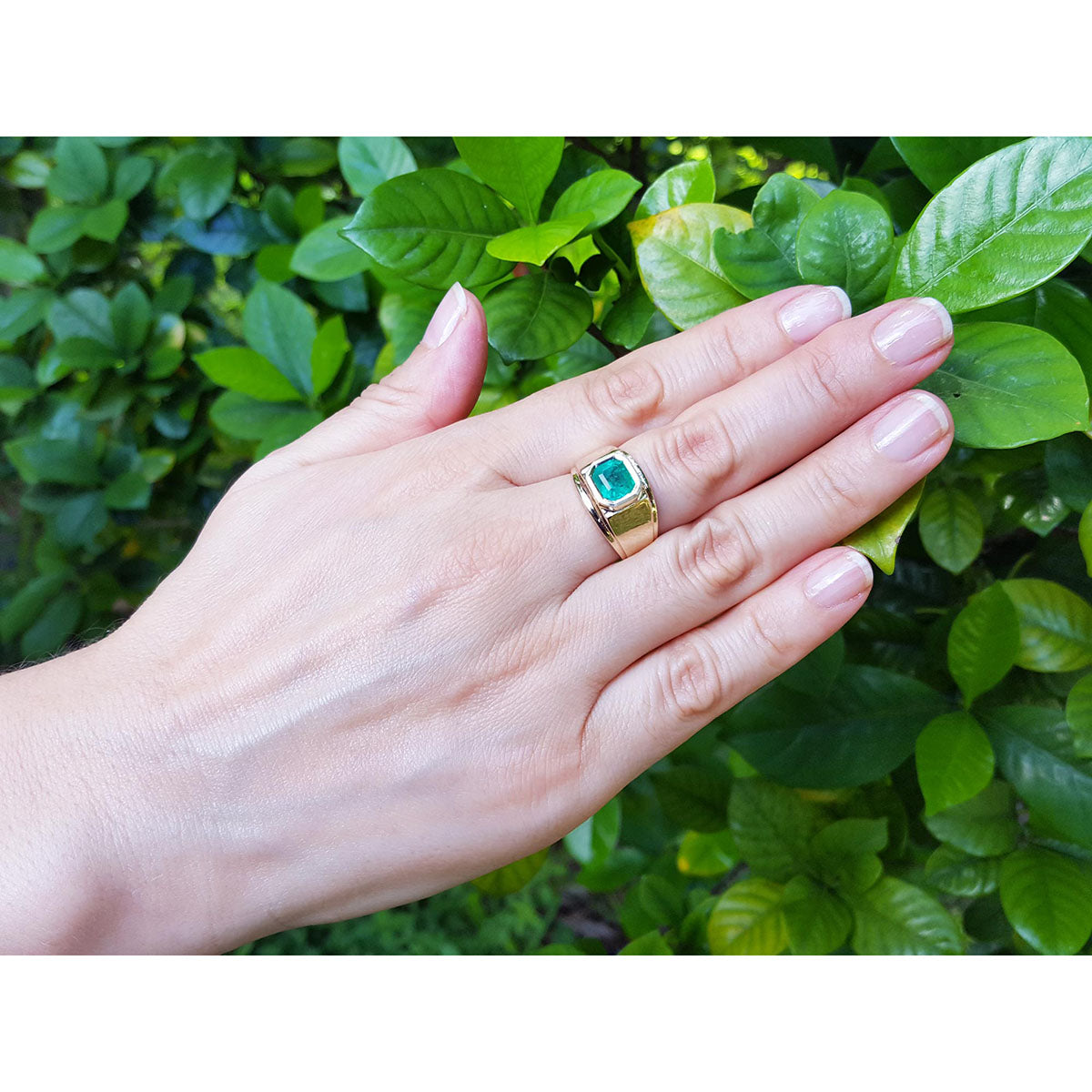 Hand wearing a gold ring with a natural colombian emerald against a green leafy background.