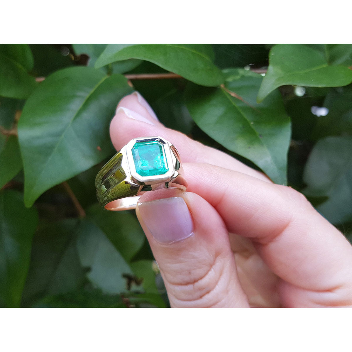 Gold men&#39;s emerald ring held by a hand against a leafy background.