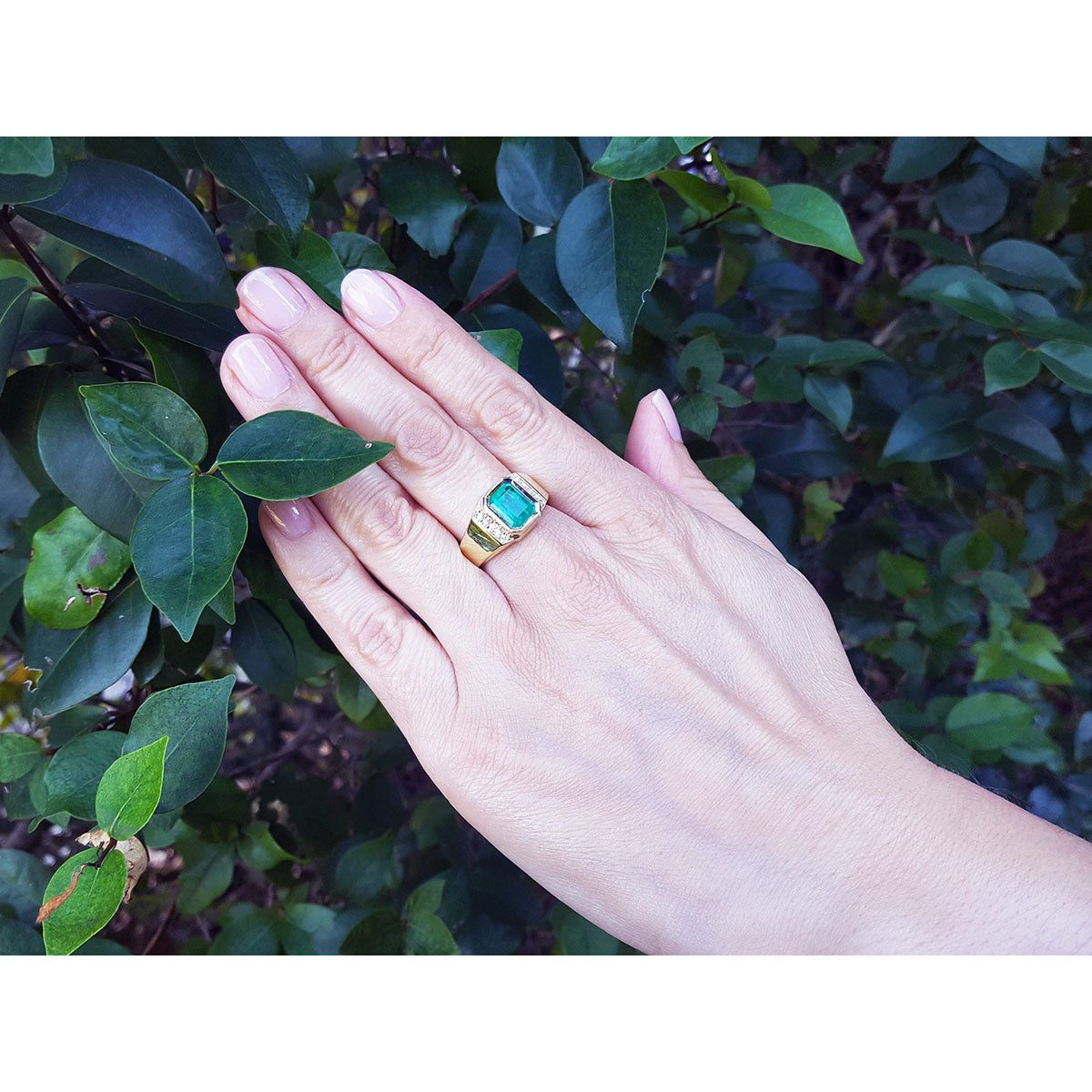 Hand wearing a gold men&#39;s emerald ring with accent diamonds against a leafy background.