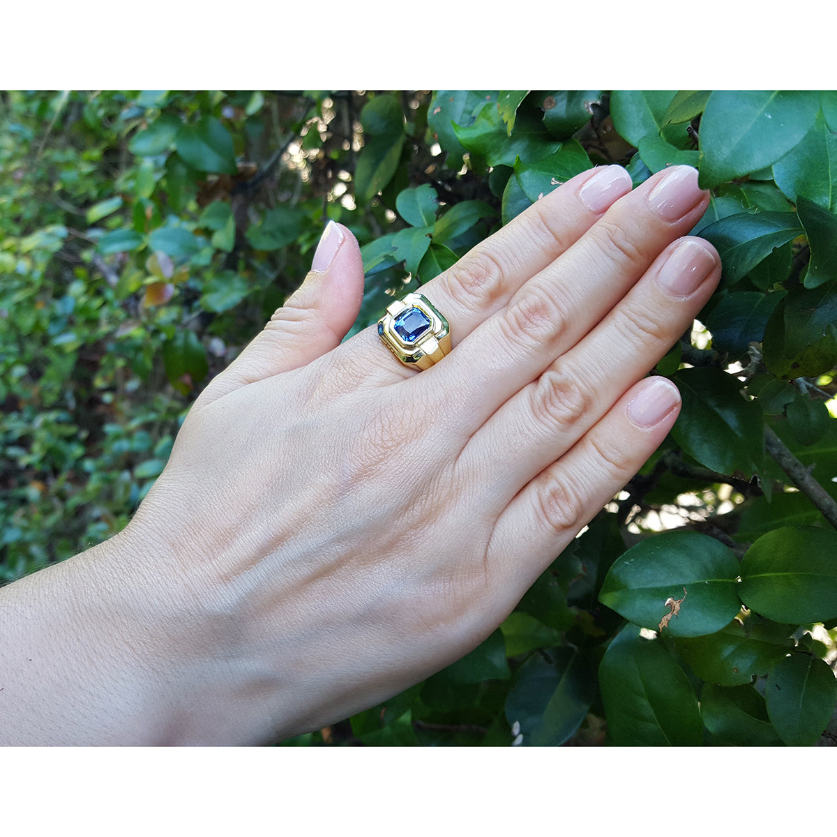 Hand wearing a gold ring with a blue natural sapphire gemstone against a green leafy background