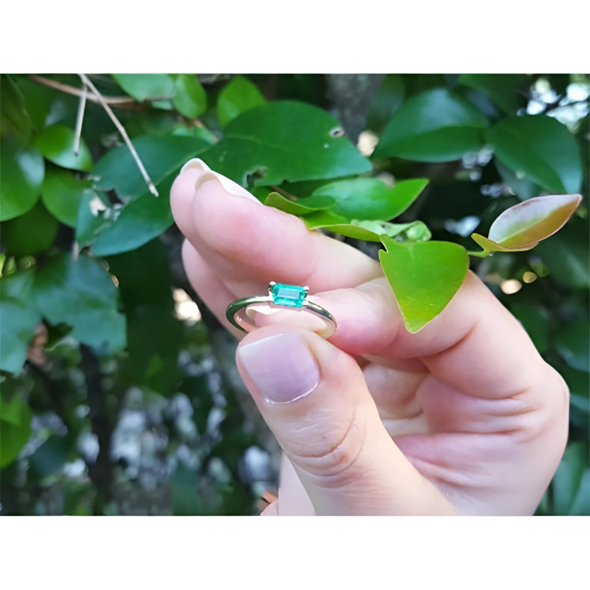 Minimalist 0.35 ct. emerald solitaire ring, east-west set in 14K yellow gold, held against green leaves.