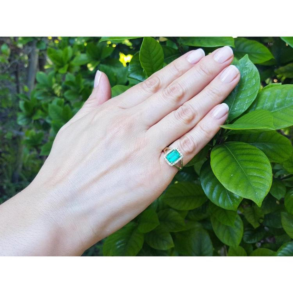 Emerald-cut Muzo Colombian emerald ring with diamond halo and split shank in 14k yellow gold on a hand.