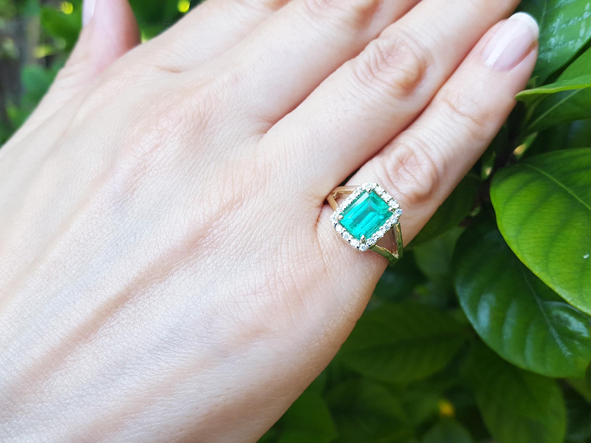 Hand wearing a natural emerald ring with a diamond halo against a green leafy background.