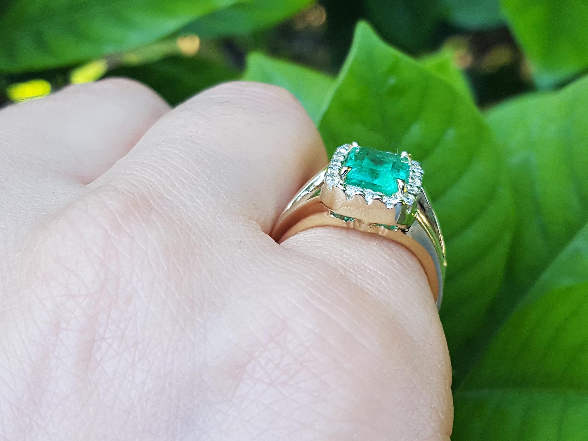 Emerald ring on a finger with a green leafy background.