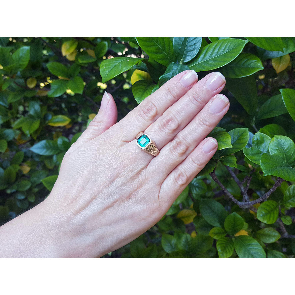 Hand wearing a yellow gold mens solitaire ring with a real colombian emerald against a leafy background.