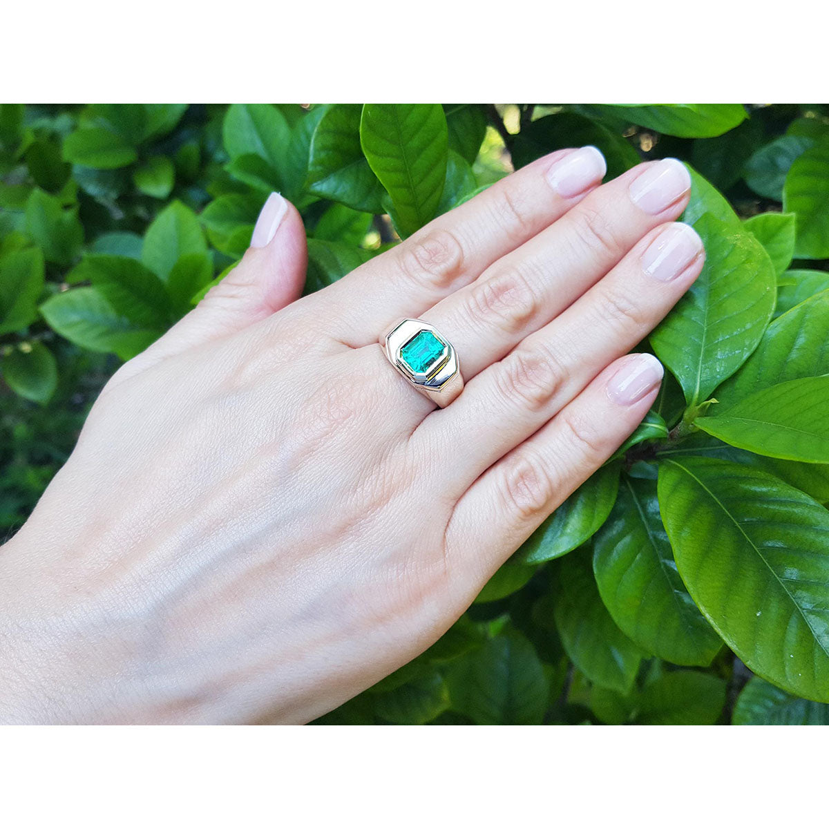 Hand wearing a men&#39;s solitaire ring with a Muzo colombian emerald against a leafy background.
