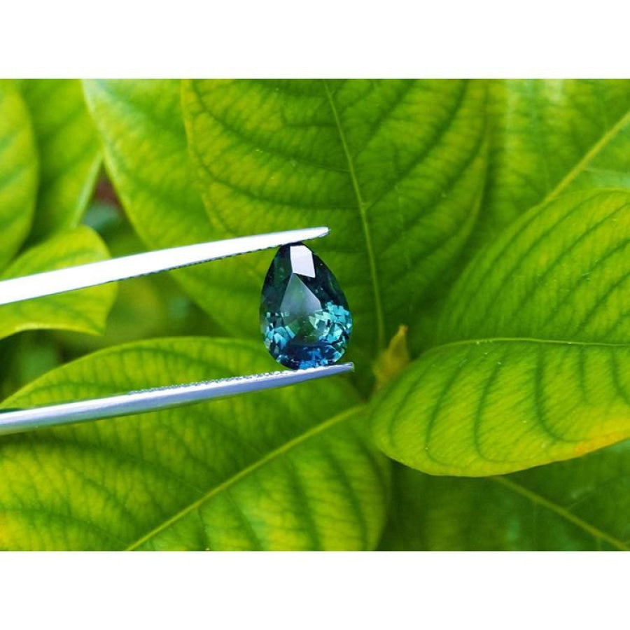 3.22 ct. loose Australian blue sapphire, pear-shaped deep blue-green, held by tweezers against green leaves.