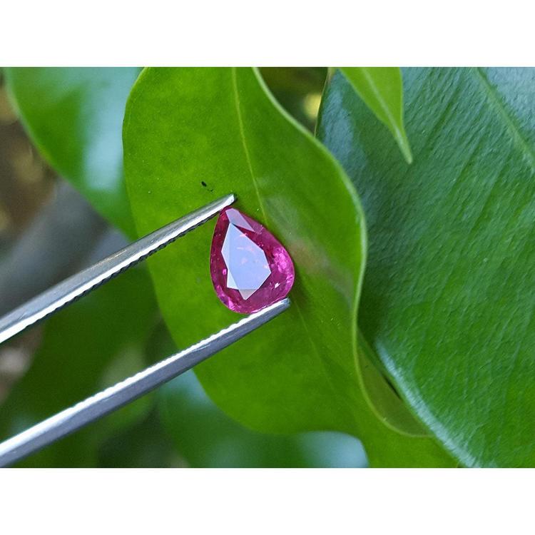 1.24 carat natural Burmese ruby, pear cut, medium red, held by tweezers on a green leaf.