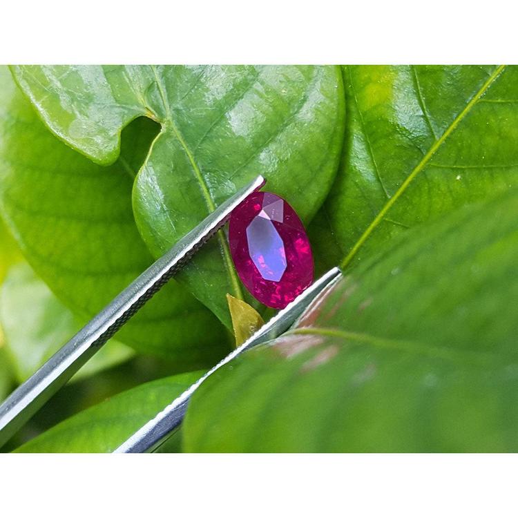 2.12 carat loose natural oval-cut ruby gemstone with rich red color held by tweezers against green leaves.