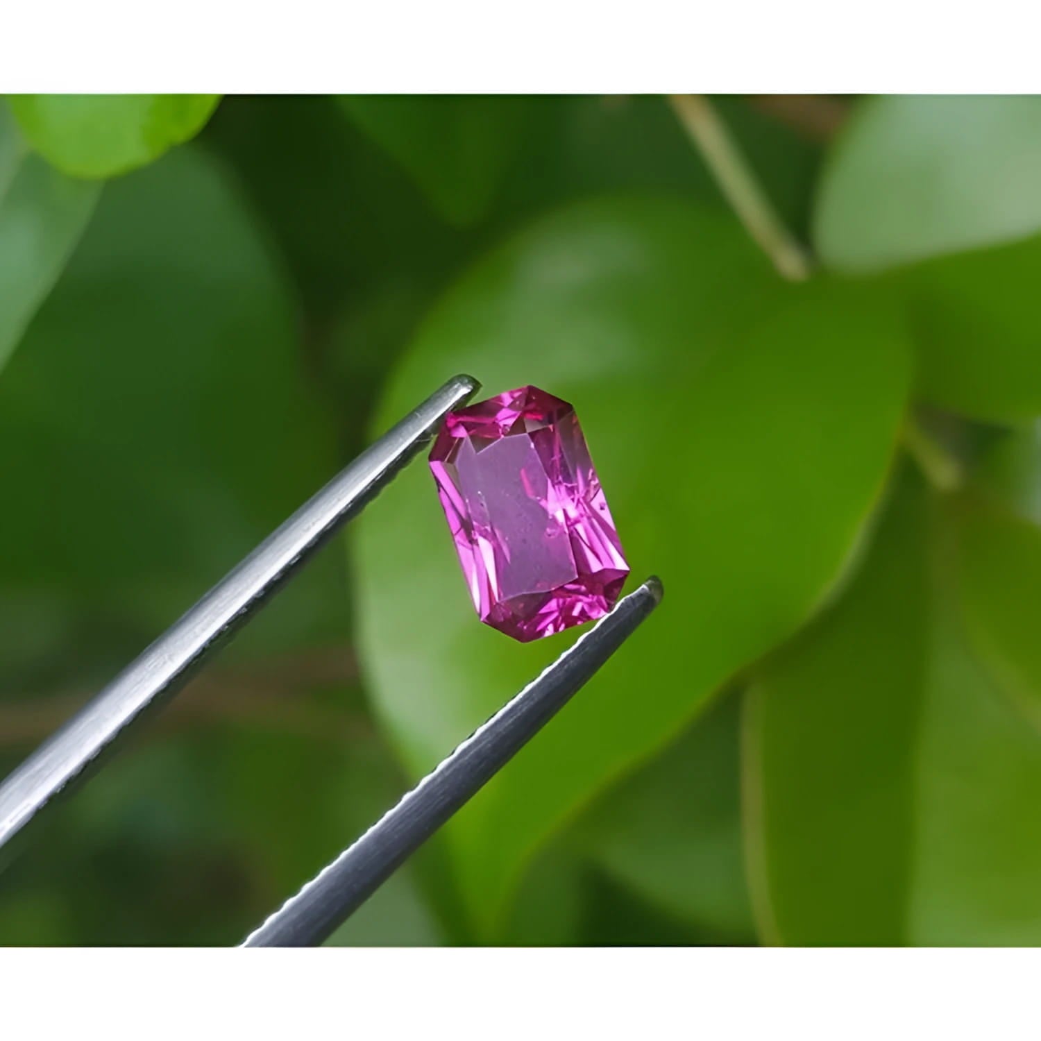1.38 ct GIA certified loose natural purplish pink sapphire, fancy emerald-cut, held by tweezers.