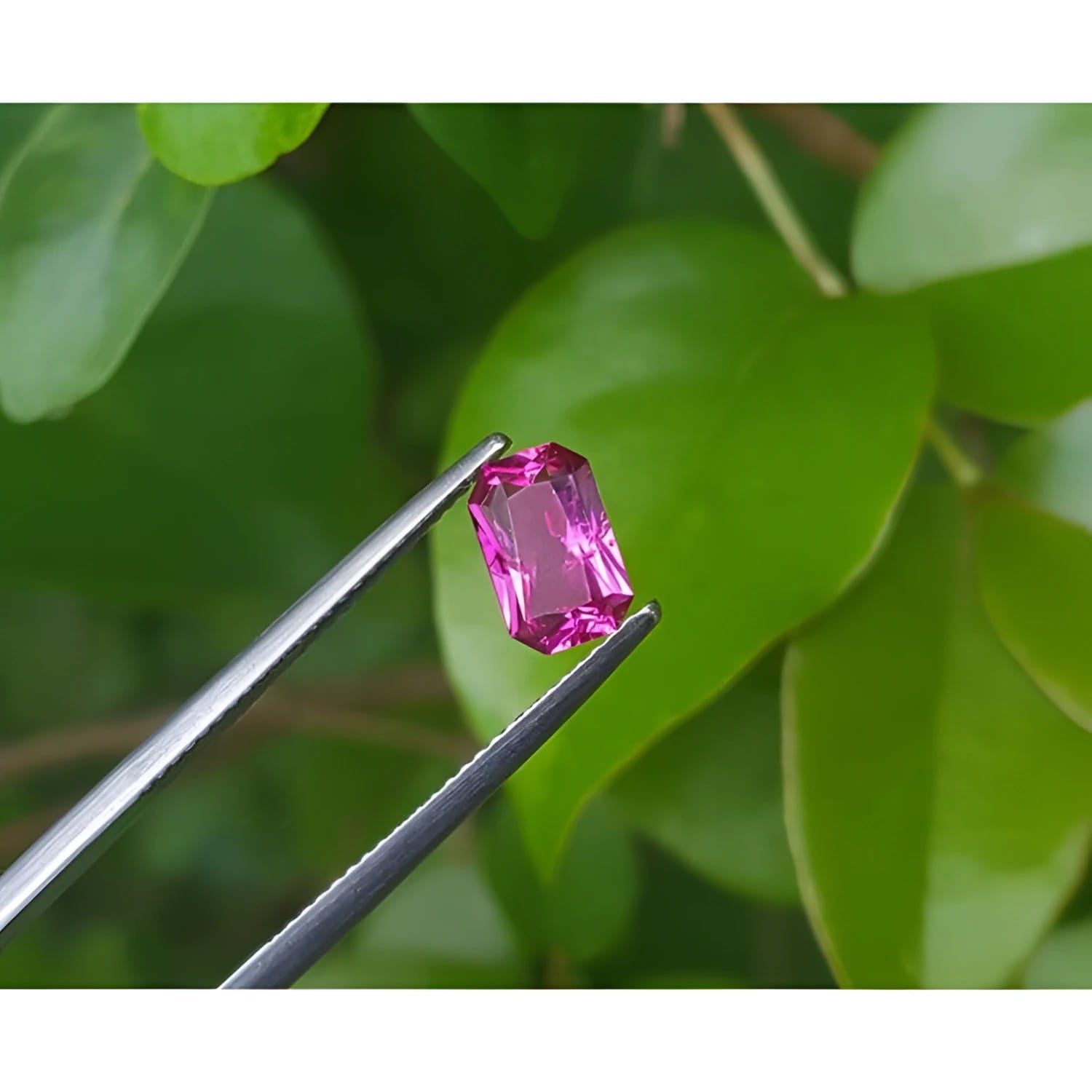 GIA certified 1.38 ct. fancy cut natural purplish pink sapphire held by tweezers against green leaves.