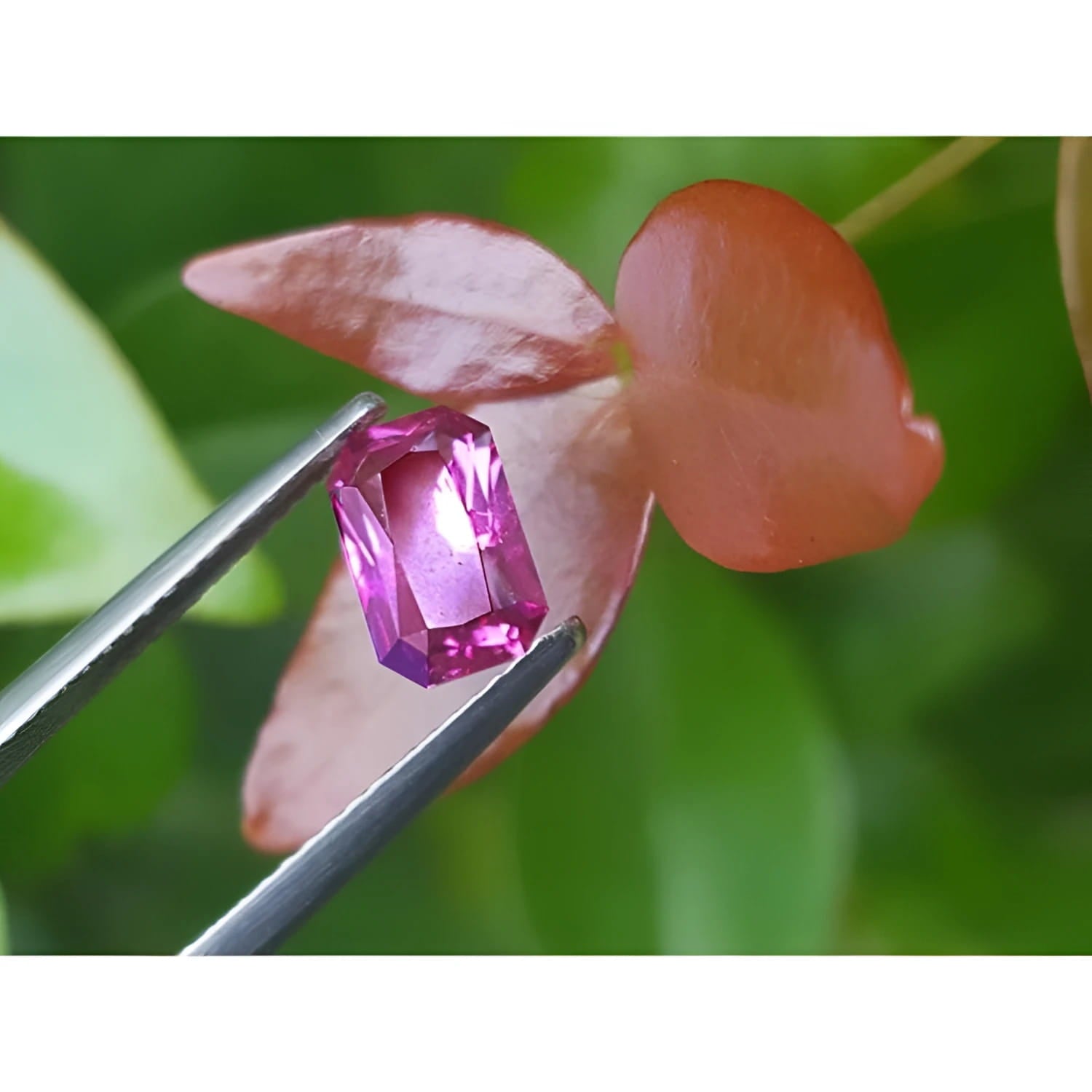 1.38 ct GIA certified purplish pink sapphire, modified fancy emerald-cut, held by tweezers.