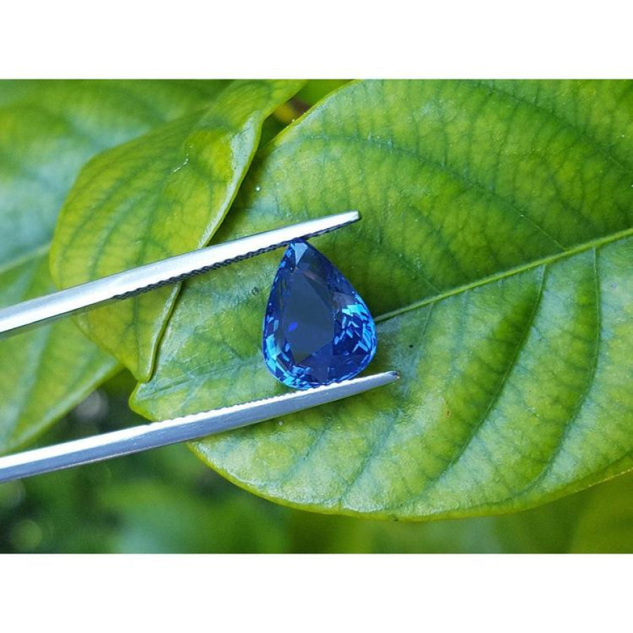 3.67 ct. deep blue pear-cut natural sapphire held by tweezers against green leaves.