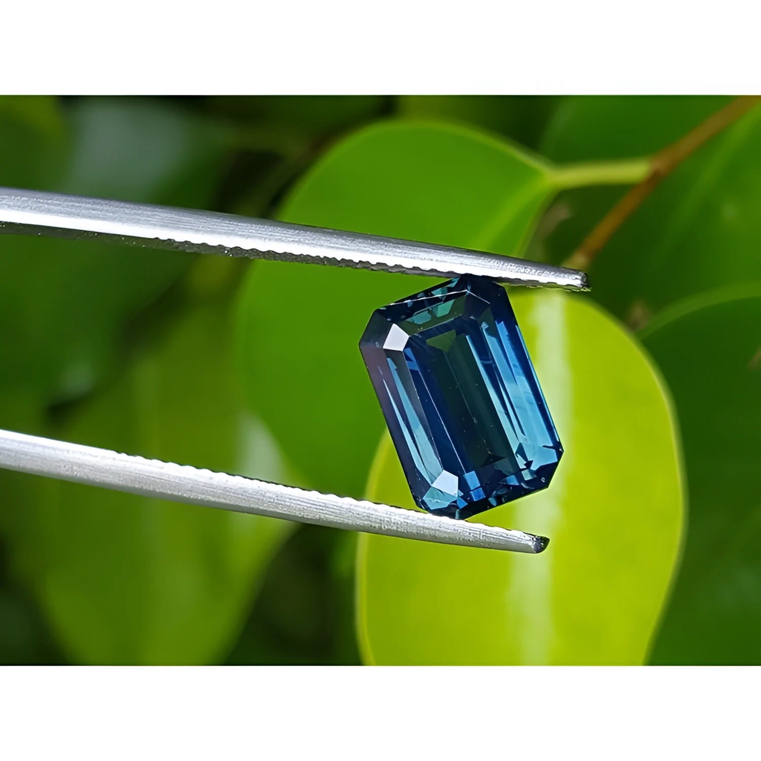 GIA certified 5.05 ct deep blue-green emerald cut sapphire held by tweezers against green leaves.