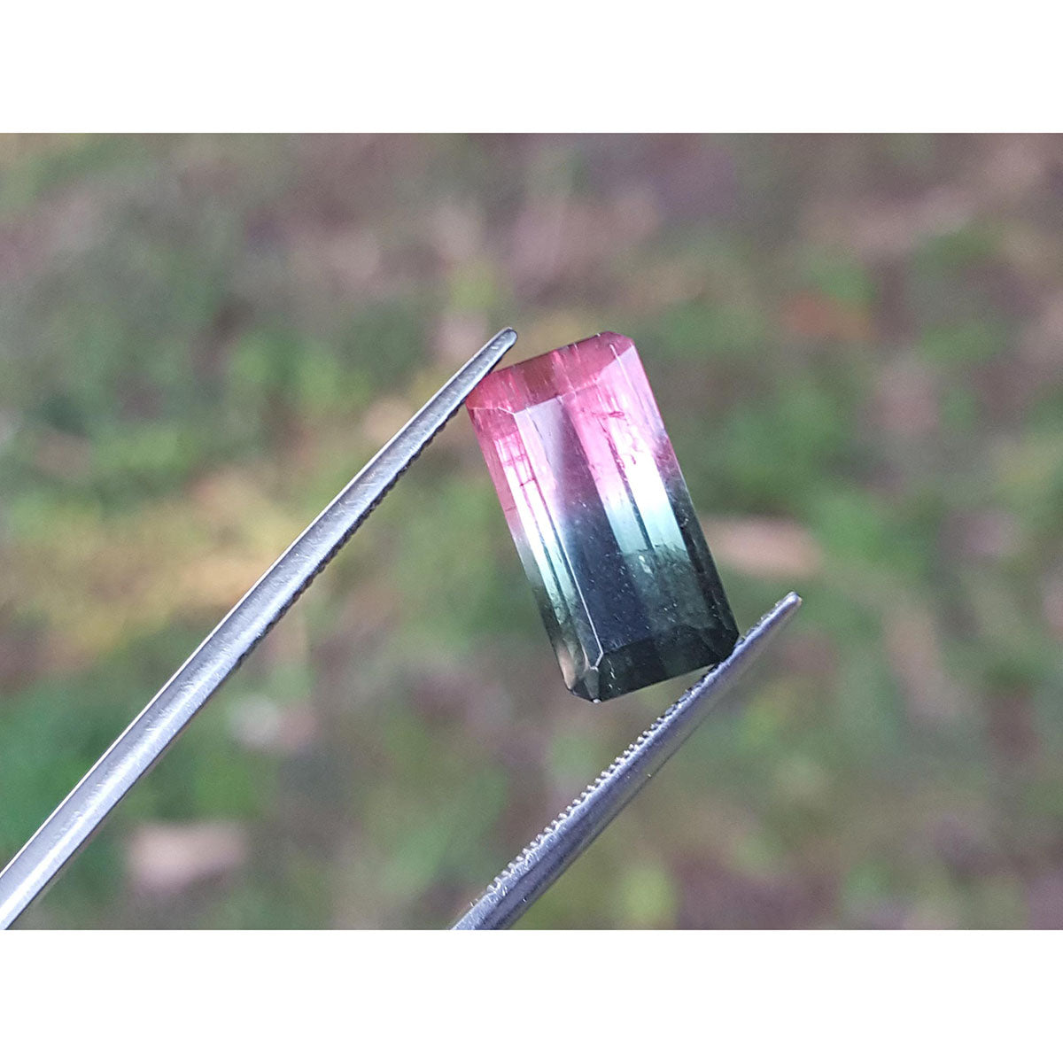 Multicolored gemstone held between tweezers with a blurred green background