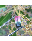 Colorful gemstone held by tweezers against a natural background