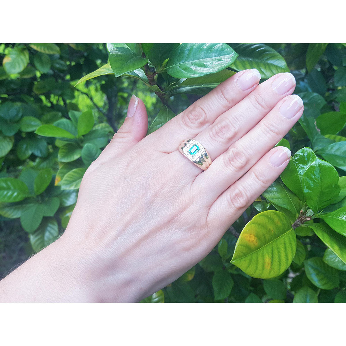 Hand wearing a yellow gold mens emerald ring against a green leafy background.