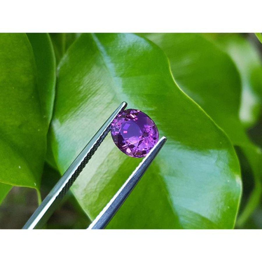 2.59 ct natural pink sapphire, intense vivid oval cut, held by tweezers against green leaves.
