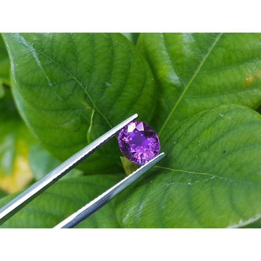 2.59 ct natural intense vivid pink sapphire, oval cut, held by tweezers against green leaves.