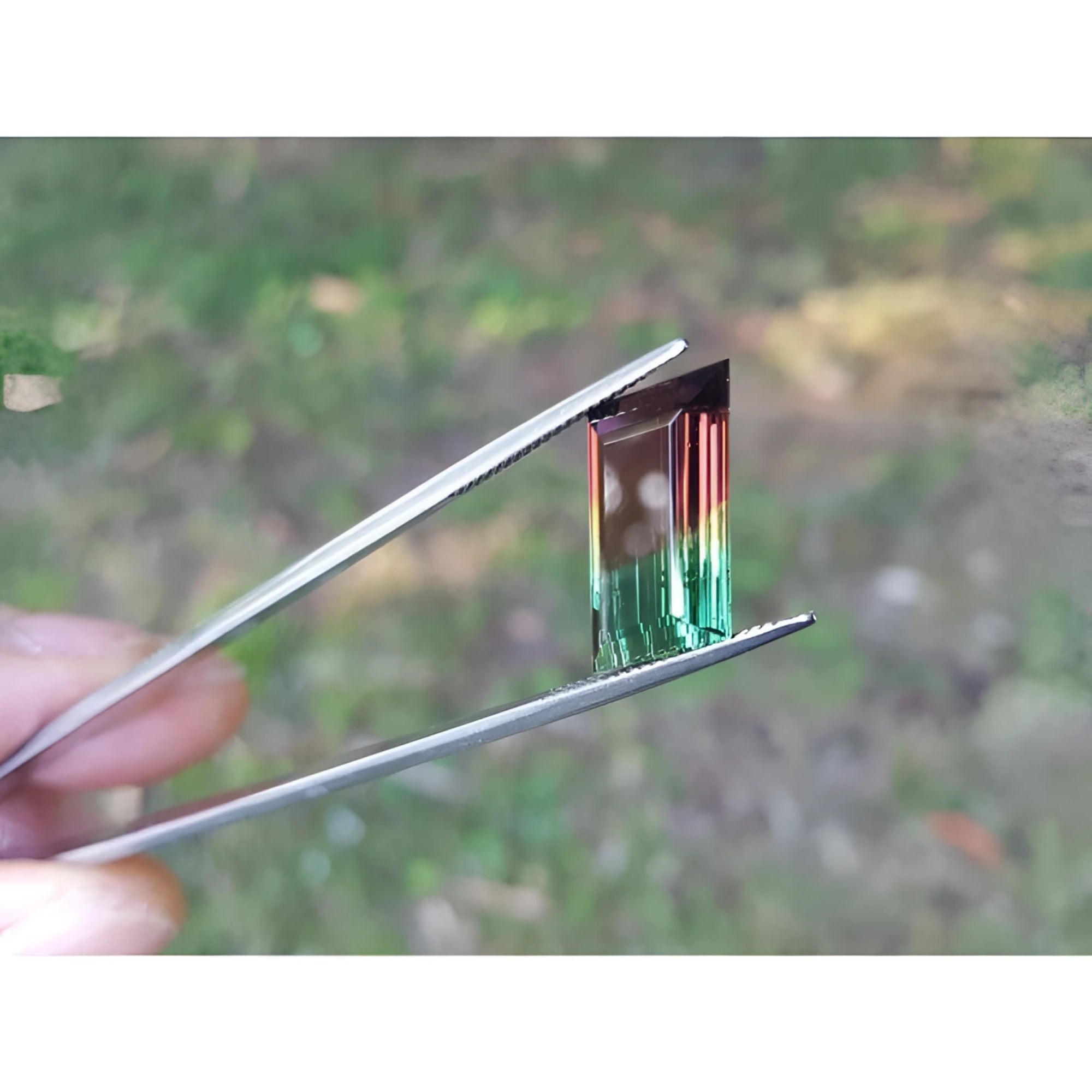 Fancy cut 8.30 carat Brazilian Watermelon Tourmaline gemstone, vibrant red-orange and bluish-green, held in tweezers.