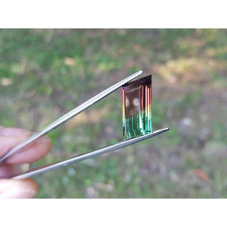 Fancy cut 8.30 carat Brazilian Watermelon Tourmaline gemstone, vibrant red-orange and bluish-green, held in tweezers.