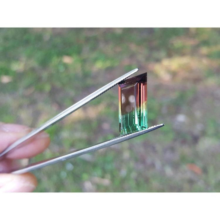 Fancy cut 8.30 carat Brazilian Watermelon Tourmaline gemstone, vibrant red-orange and bluish-green, held in tweezers.