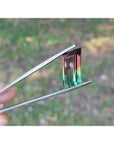 A natural watermelon tourmaline held by tweezers with a blurred natural background.