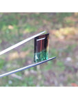 A natural tourmaline held by tweezers with a blurred natural background.