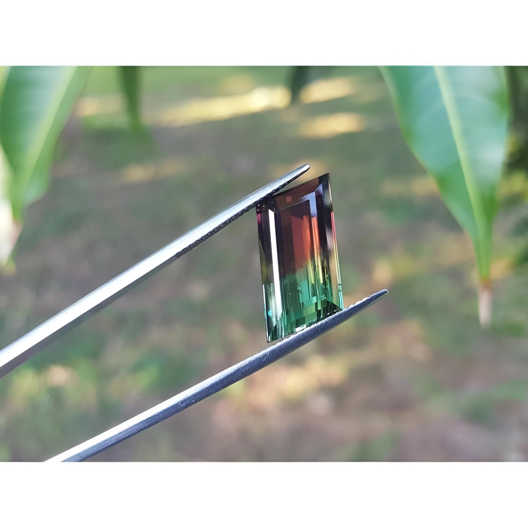Fancy cut 8.30 carat loose Brazilian watermelon tourmaline, showing vibrant red-orange and bluish-green bicolor.