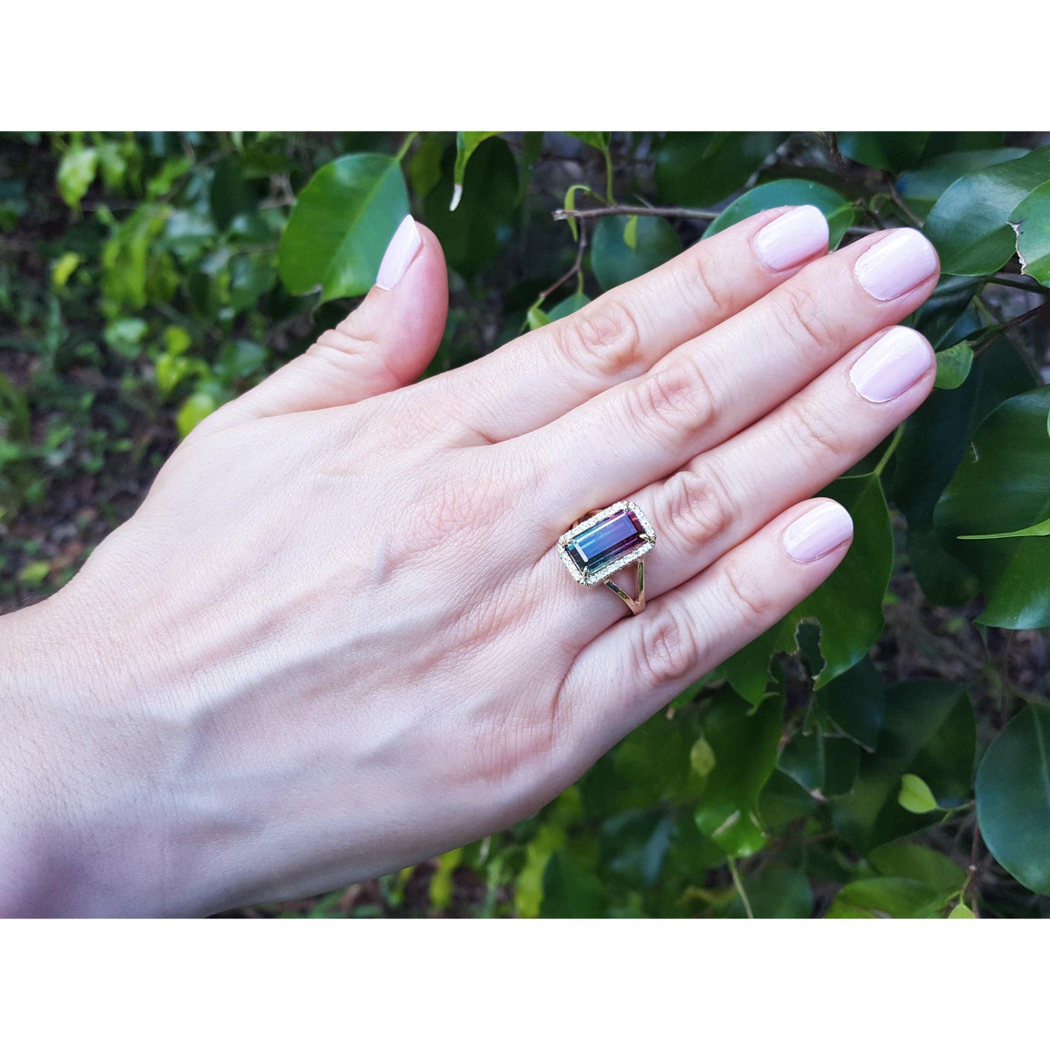 A woman&#39;s hand wearing a fine watermelon tourmaline ring against a leafy background.