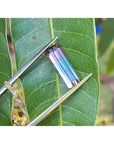 A rectangular bicolor tourmaline held by tweezers on a green leaf.