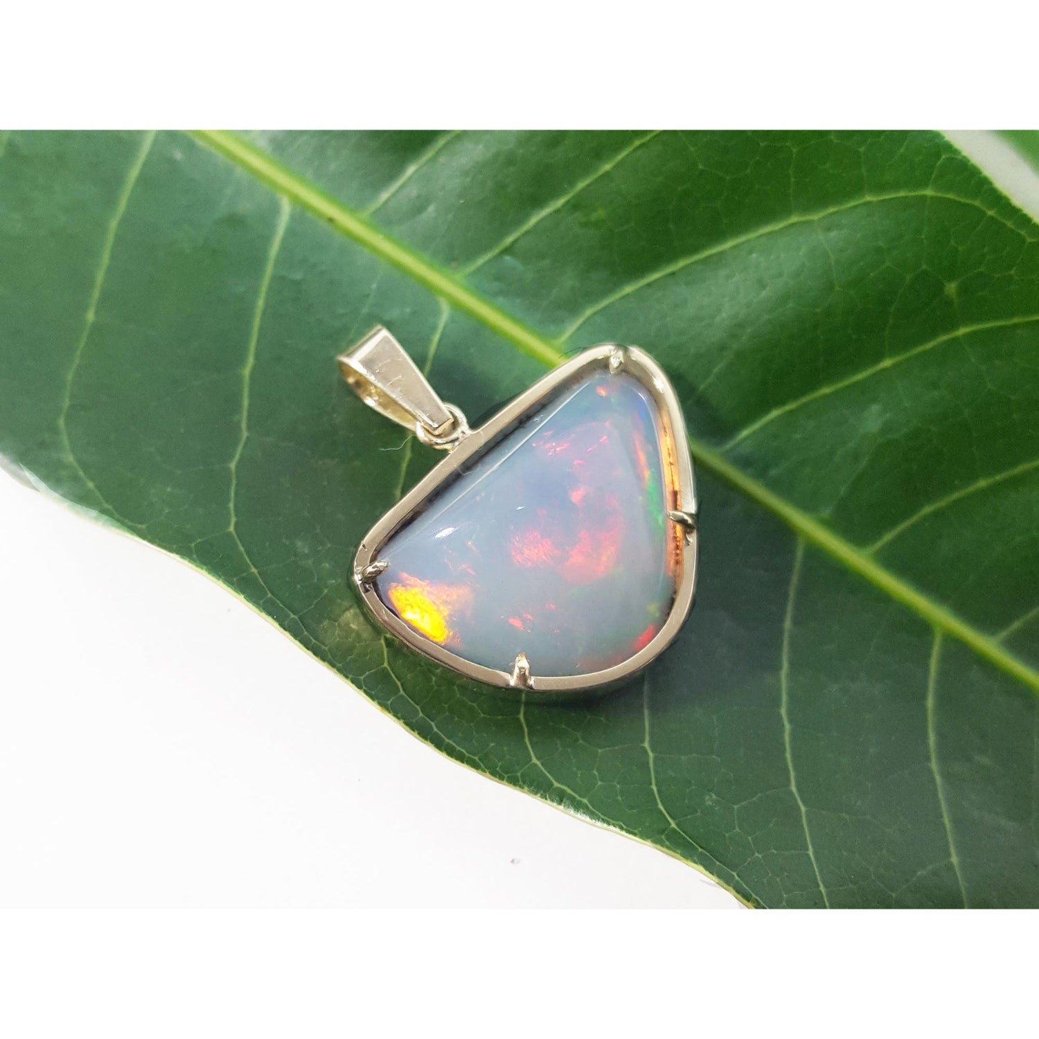 Opal pendant in a gold setting on a green leaf.