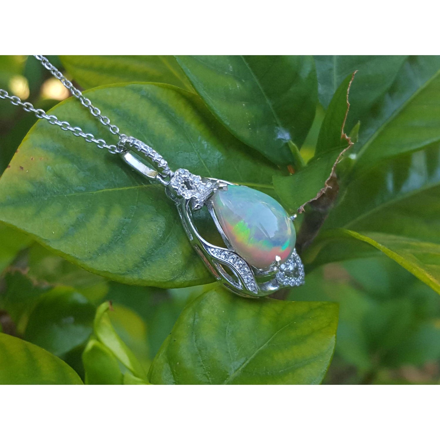 Opal pendant silver necklace on a leaf with a green leafy background.