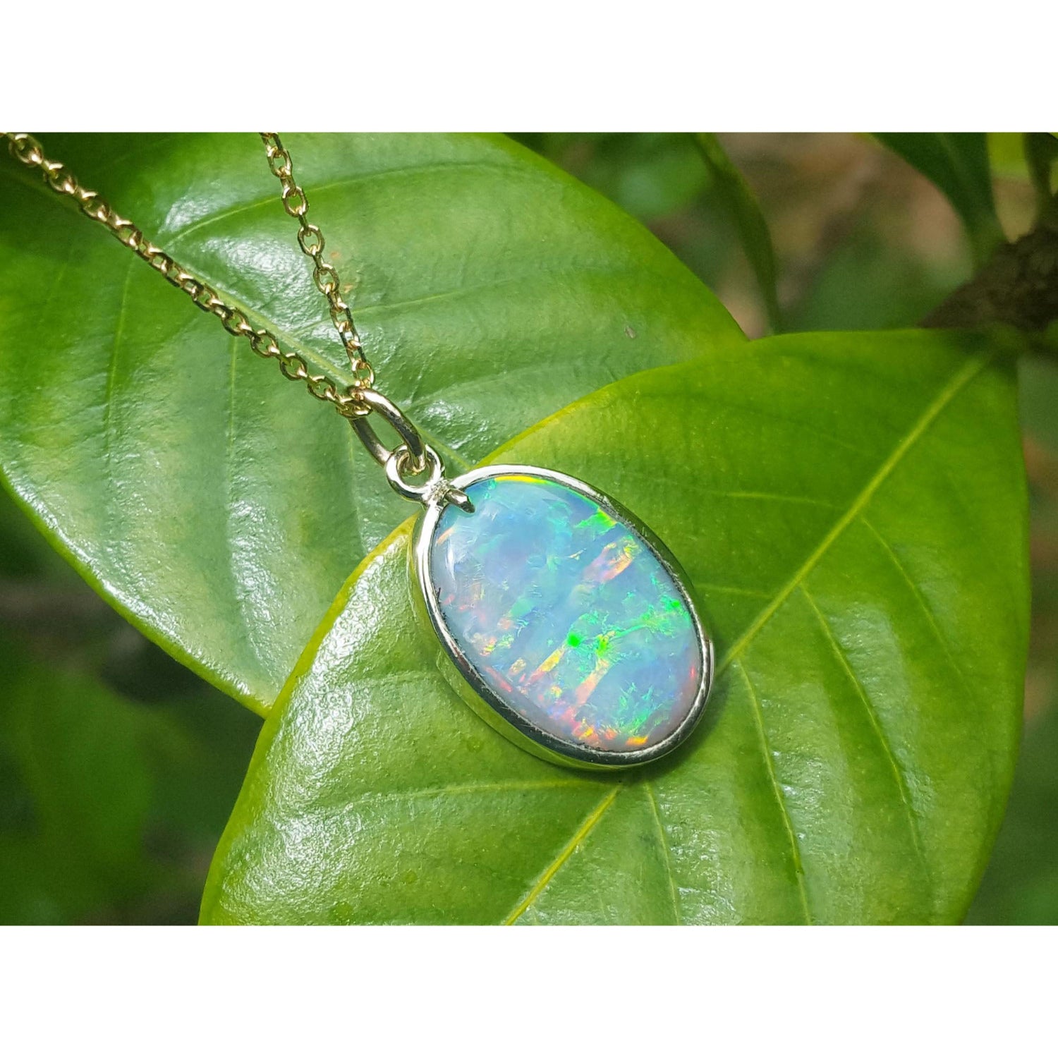 Opal pendant on a gold chain against a green leafy background.