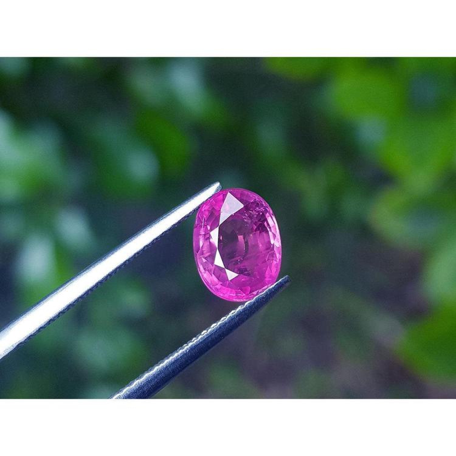 Sparkling 2.38 carat oval cut natural Mozambique ruby, held by tweezers against a green background.