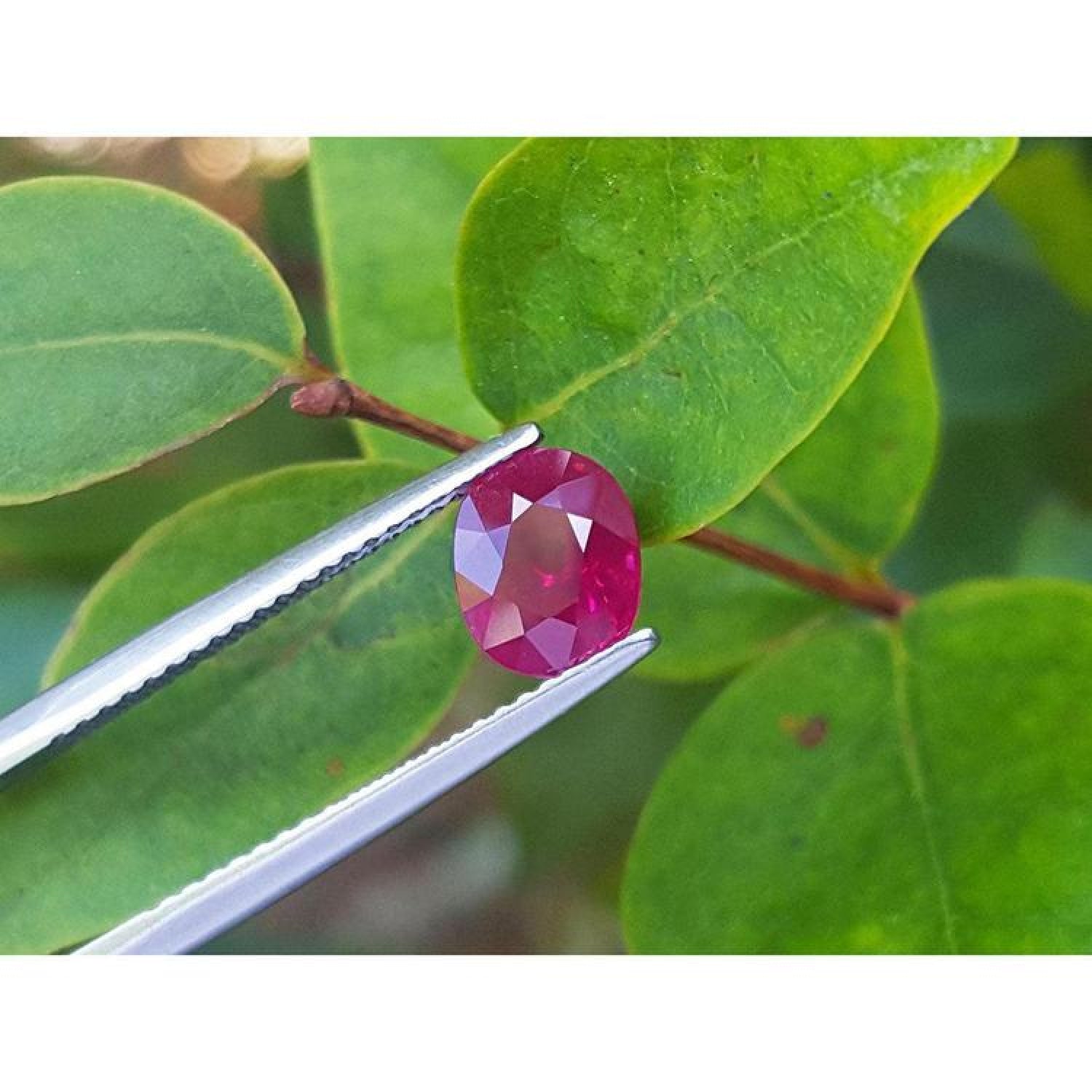 Burmese natural 1.68 ct. oval-cut ruby, medium deep red, held by tweezers against green leaves.