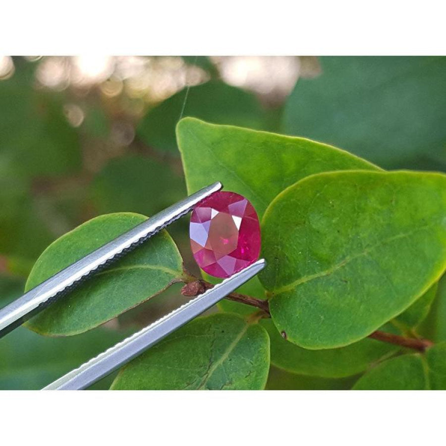 Burmese natural 1.68 ct. oval cut ruby, medium deep red, held by tweezers against green leaves.