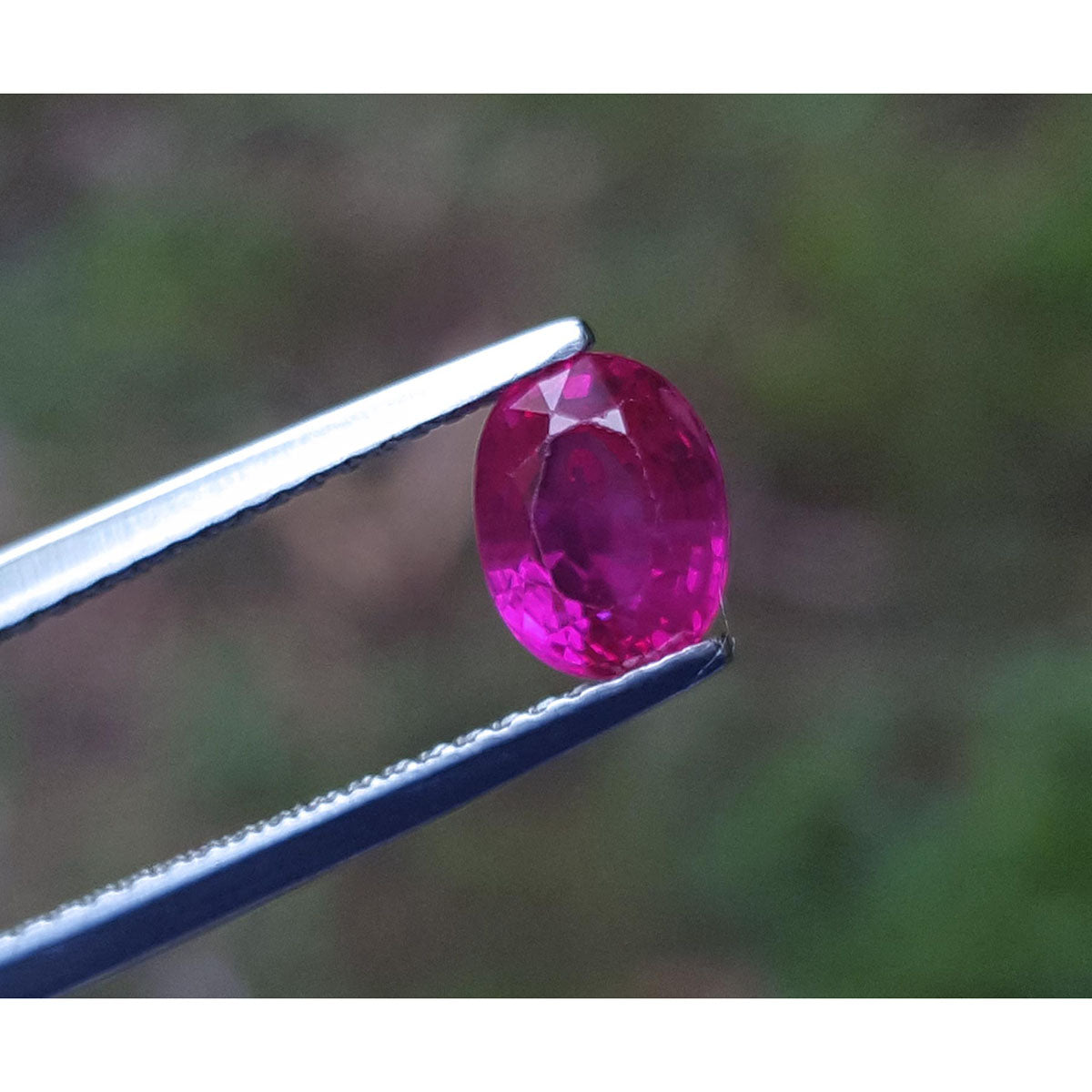 Ruby gemstone held by tweezers with a blurred green background