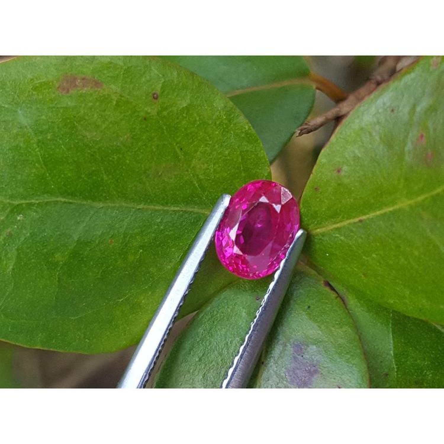 1.31 ct. oval-cut natural Burma ruby gemstone, vivid red, held by tweezers against green leaves.