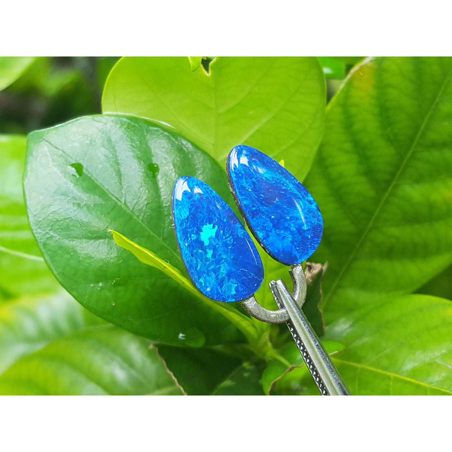 Blue opal earrings on a green leaf background
