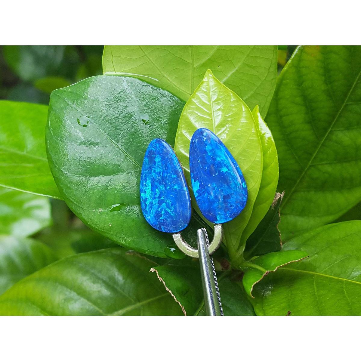 Blue opal earrings on green leaves