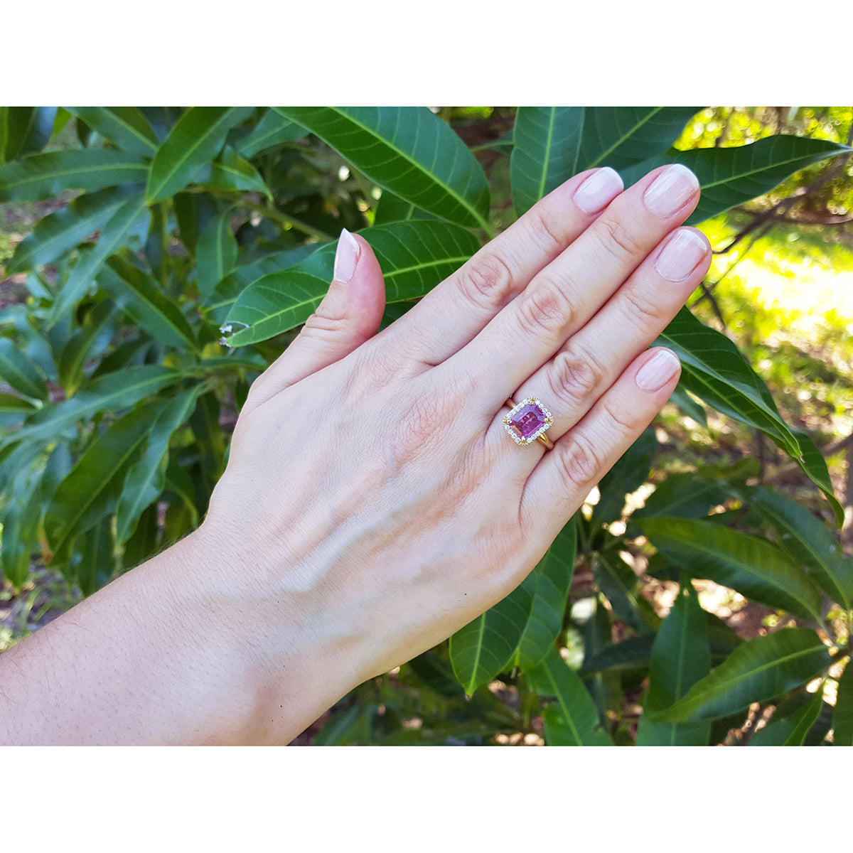 Hand wearing a pink sapphire gemstone ring with green foliage in the background