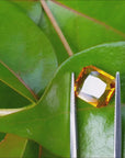 Loose radiant cut yellow sapphire